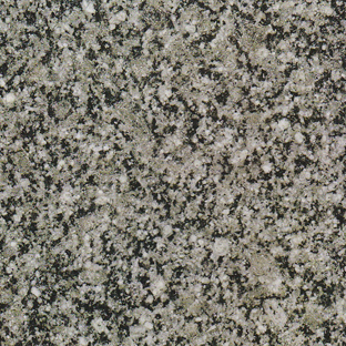 アーバングレー【カルナタカ州】