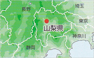 山崎石（甲府安山岩）【山梨県】